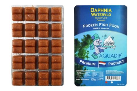 Aquadip Frozen Daphnia Food 100g Blister Pack Fishden Aquatics