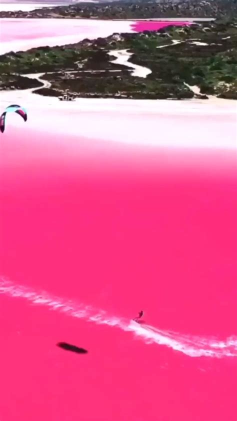 How australia s lake hillier gets its pink color – Artofit