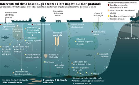 Catturare CO2 Negli Oceani I Rischi Secondo I Biologi Marini Focus It