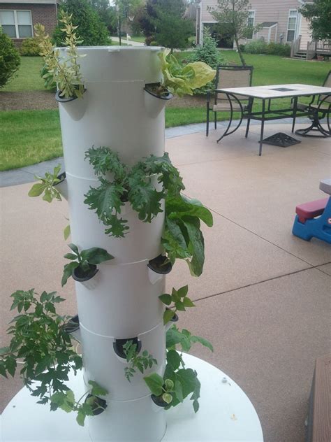 Indoor Hydroponic Garden Tower - Okejely Garden Plant