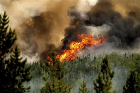 Incendios Forestales En Canadá Rompen Récords De área Consumida Y