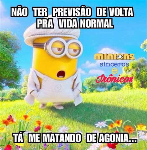 Pin de Maria Bia Beatriz em Imagens e frases engraçadas Minions