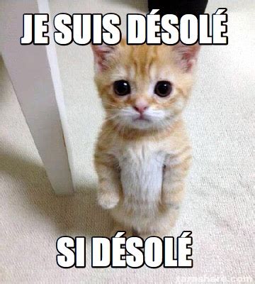 Meme Creator Funny Je Suis D Sol Si D Sol Meme Generator At