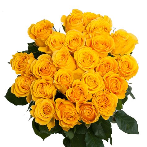 Yellow Roses For Diy Bouquets Bright Yellow Roses Globalrose