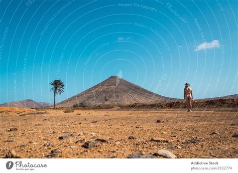 Naked Man Posing In Tropical Desert A Royalty Free Stock Photo From