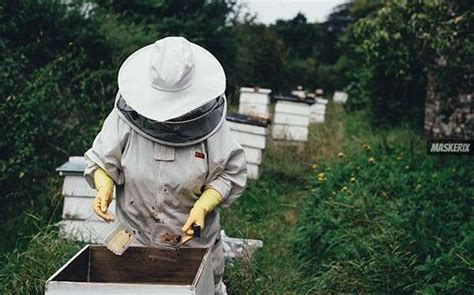 Diy Bee Keeper Costume