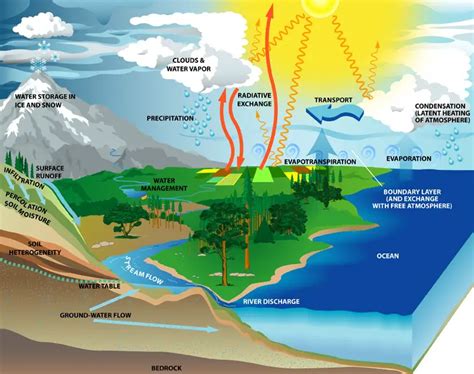 Ciclo Hidrol Gico Etapas E Fases Mundo Ecologia