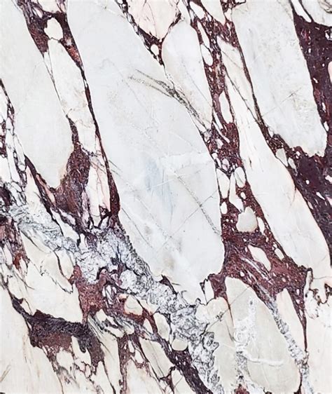 Calacatta Viola Marble