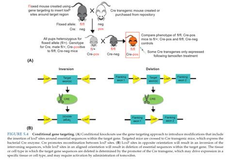 57 Questions With Answers In ENZYME TECHNOLOGY Science Topic