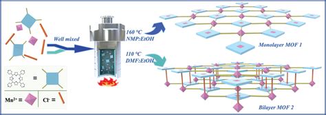 Schematic Diagram Of The Synthetic Routes For Preparing Monolayer MOF