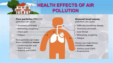 Environmental sanitation | PPT