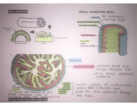 Cross Section | PDF