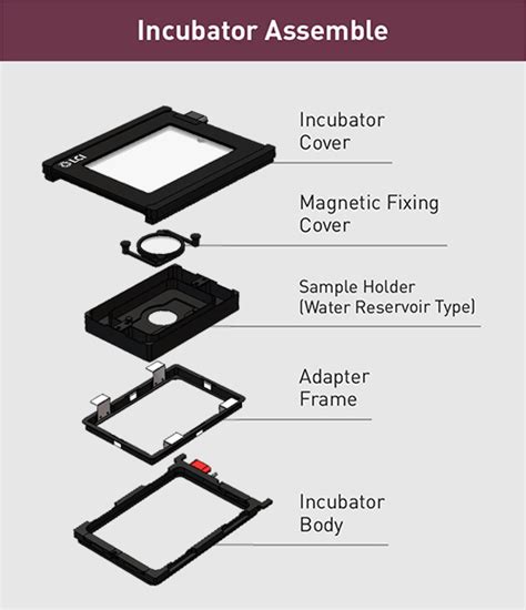 Incubating System Live Cell Instrument