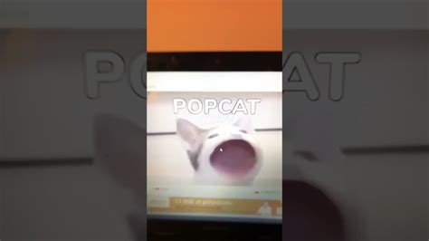 Popcat Auto clicker - popcat.games