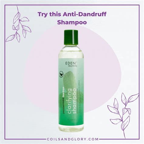 10 Best Anti Dandruff Shampoos For Itchy And Flaky Scalp Coils And Glory