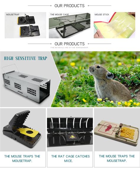 Reusable Metal Rat Traps Pest Killer Control Trap Mice Pest Catching