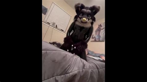 Latex Furry Pornhub Gay