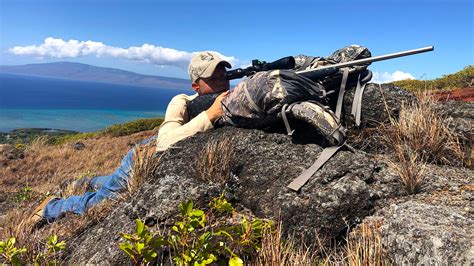 Training To Shoot From Field Positions Prone Sitting Kneeling And