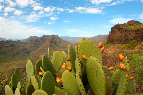 Instantes Fotos De Sebasti N Navarrete Barranco De Fataga Desde El