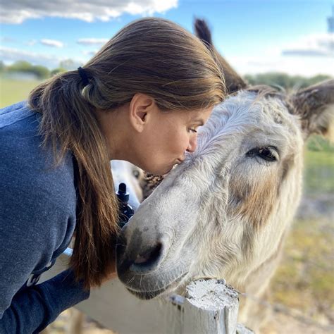 CBD for Equines: Gus the Donkey - Angela Ardolino