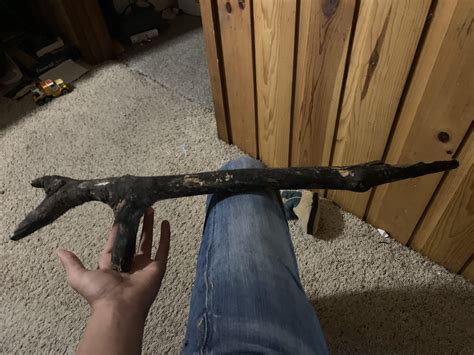 Found the Perfect stick in field the other day : r/Firearms