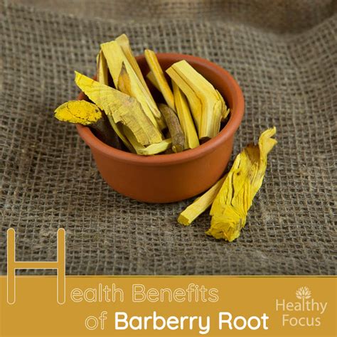 Health Benefits Of Barberry Root Healthy Focus