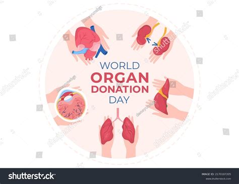 336 951 Organs Medicine Images Stock Photos Vectors Shutterstock