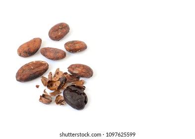 Unpeeled Raw Cacao Beans One Bean Stock Photo 1097625599 Shutterstock