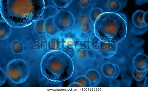 Embryonic Stem Cells Cellular Therapy Regeneration Stock Illustration ...