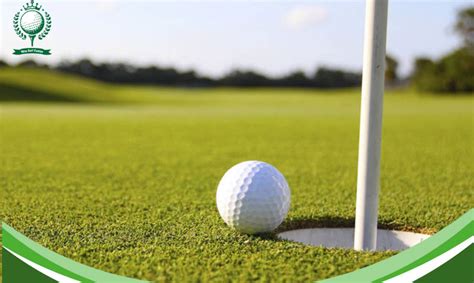 HIO trong golf là gì và những kỉ lục HIO NỔI BẬT thế giới