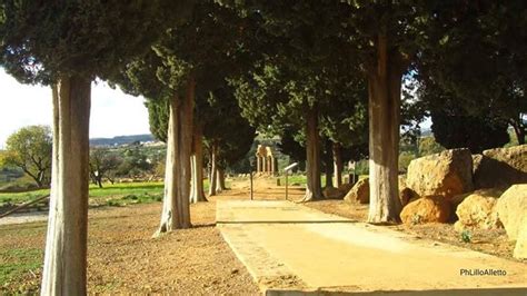 Passeggiare All Ombra Dei Cipressi E Provare La Sensazione Di Essere