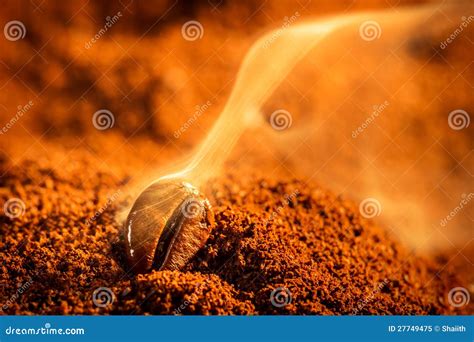 Aroma of Coffee Seeds Roasting Stock Image - Image of attar, scene ...