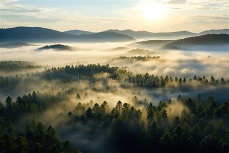 Misty forest at sunrise. stock illustration. Illustration of contrast ...