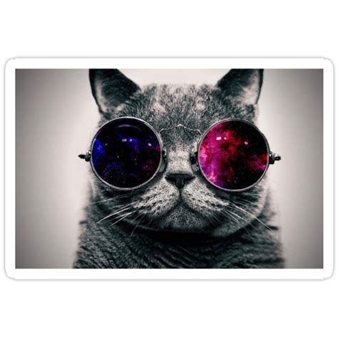 Space Cat With Galaxy Glasses Pics About Space