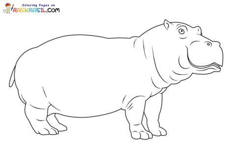 Coloriage Hippopotame à imprimer