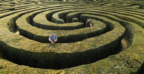 Building a Hedge Maze at Longleat - Historic Houses | Historic Houses