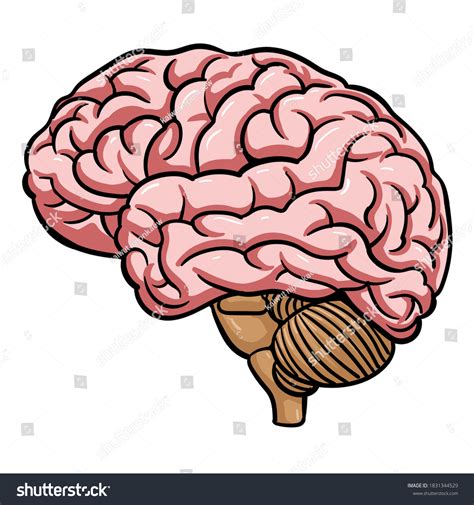 Brain Comics Drawing Vector Illustration Stock Vector (Royalty Free ...