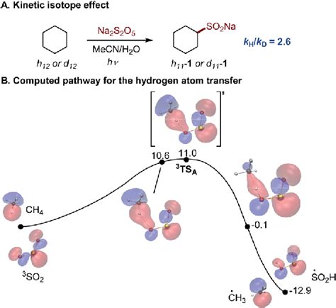 A Kinetic Isotope Effect For The Photoinduced C H Sulfination B