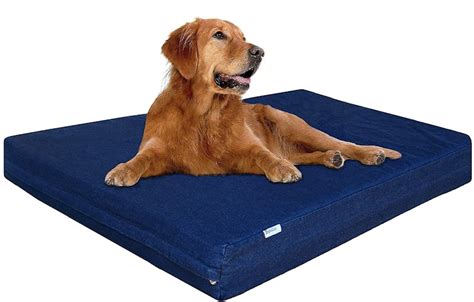 The 7 Best Waterproof Dog Crate Mats