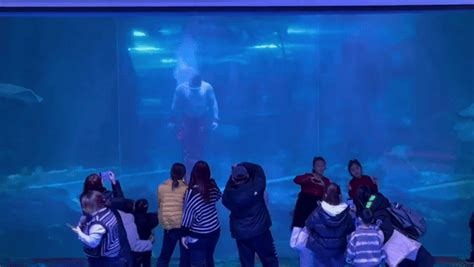 Chàng tiên cá bỗng hot rần rần tại Trung Quốc thành hiện tượng sau một đêm