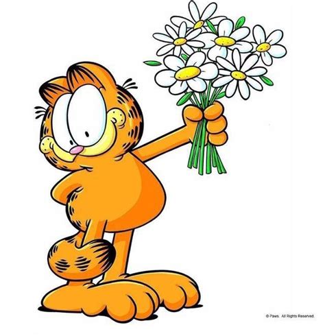 Pin by Gulnara on Веселые картинки Garfield wallpaper Cartoon