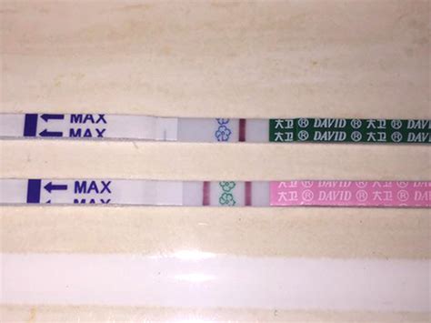 21三体形成原因详解，是精子还是卵子的问题不再存疑家庭医生在线