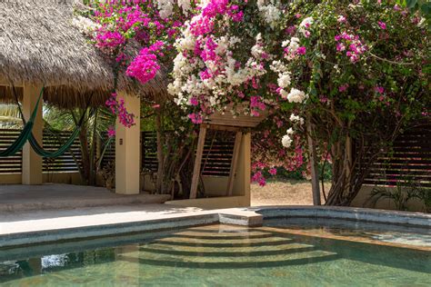 Hotel Boutique En Tierra Blanca Casa De Las Libelulas