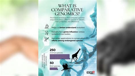 Explainer Genetic Similarity Between Humans And Other Life Forms