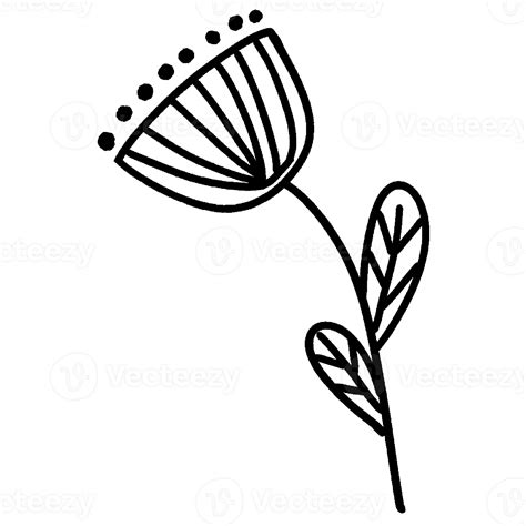 Flower Doodles Art 24628065 Png