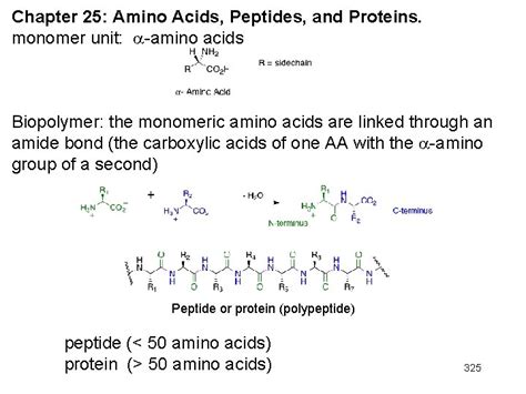 chapter  amino acids peptides  proteins monomer