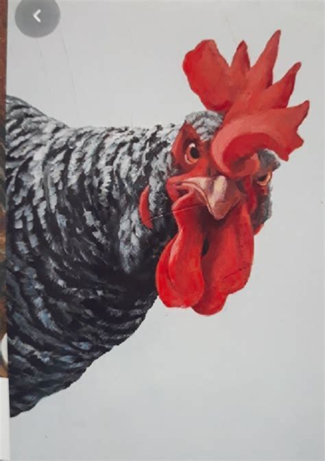 Rooster Painting on White Background