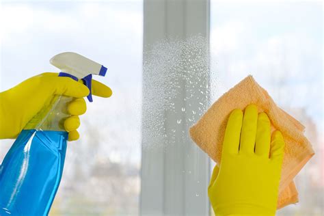 How To Clean Your Windows Cleany Miami