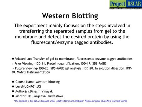 Ppt Western Blotting Powerpoint Presentation Free Download Id3817405