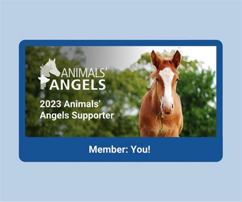 Donate Now | Animals’ Angels